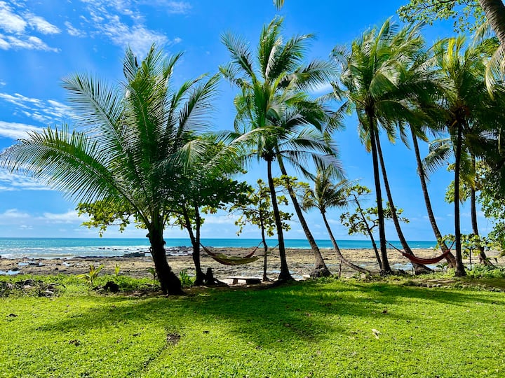Island House 🌴, Casa de playa, Sandbox Island