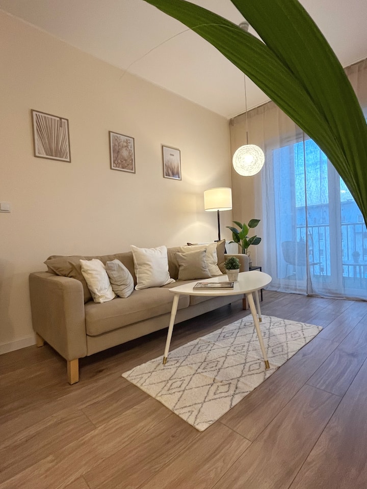 Comfy Apratment Katowice - Katowice