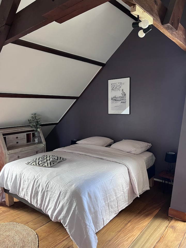 Habitación 1