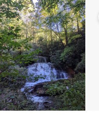 A cascading waterfall can be seen surrounded by lush greenery and tall trees. Sunlight filters through the leaves, creating dappled light on the water flow. The rocks at the base are partially covered with foliage, adding to the natural setting.