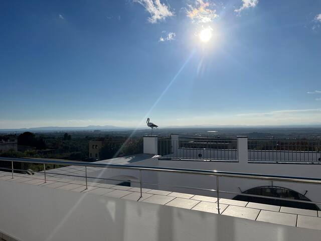 Casa con piscina y vistas al mar gallery image 3