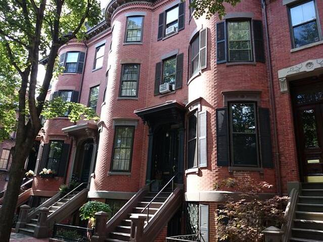 Beautiful South End 2BR apartment gallery image 3