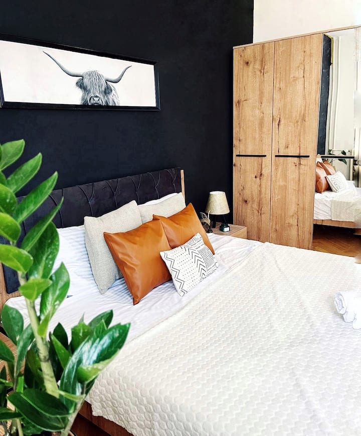 Modern & Rustic City Center. Toro Apartment Apartments for Rent in