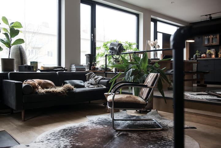 Studio Med Karaktär 10 Min Fr Stan - Stockholm