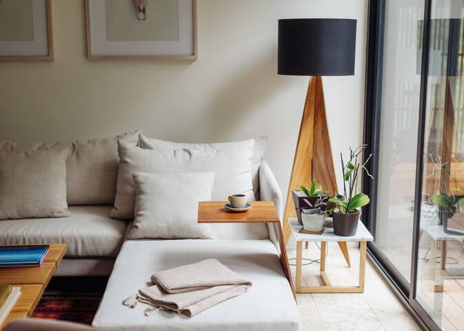 Hidden Gem Terrace in the Heart of Condesa gallery image 4