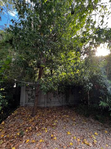 2 bed/ 2.5 bath house +sunroom gallery image 3