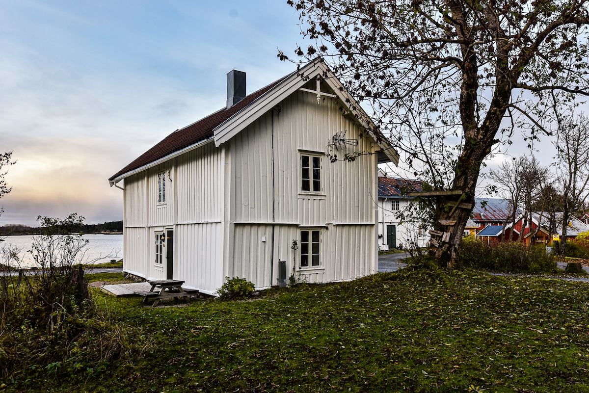 A charming white wooden house is set against a backdrop of serene water, surrounded by greenery. Large windows provide natural light, and a picnic table is positioned on the patio. Nearby, trees offer shade and a tranquil atmosphere.