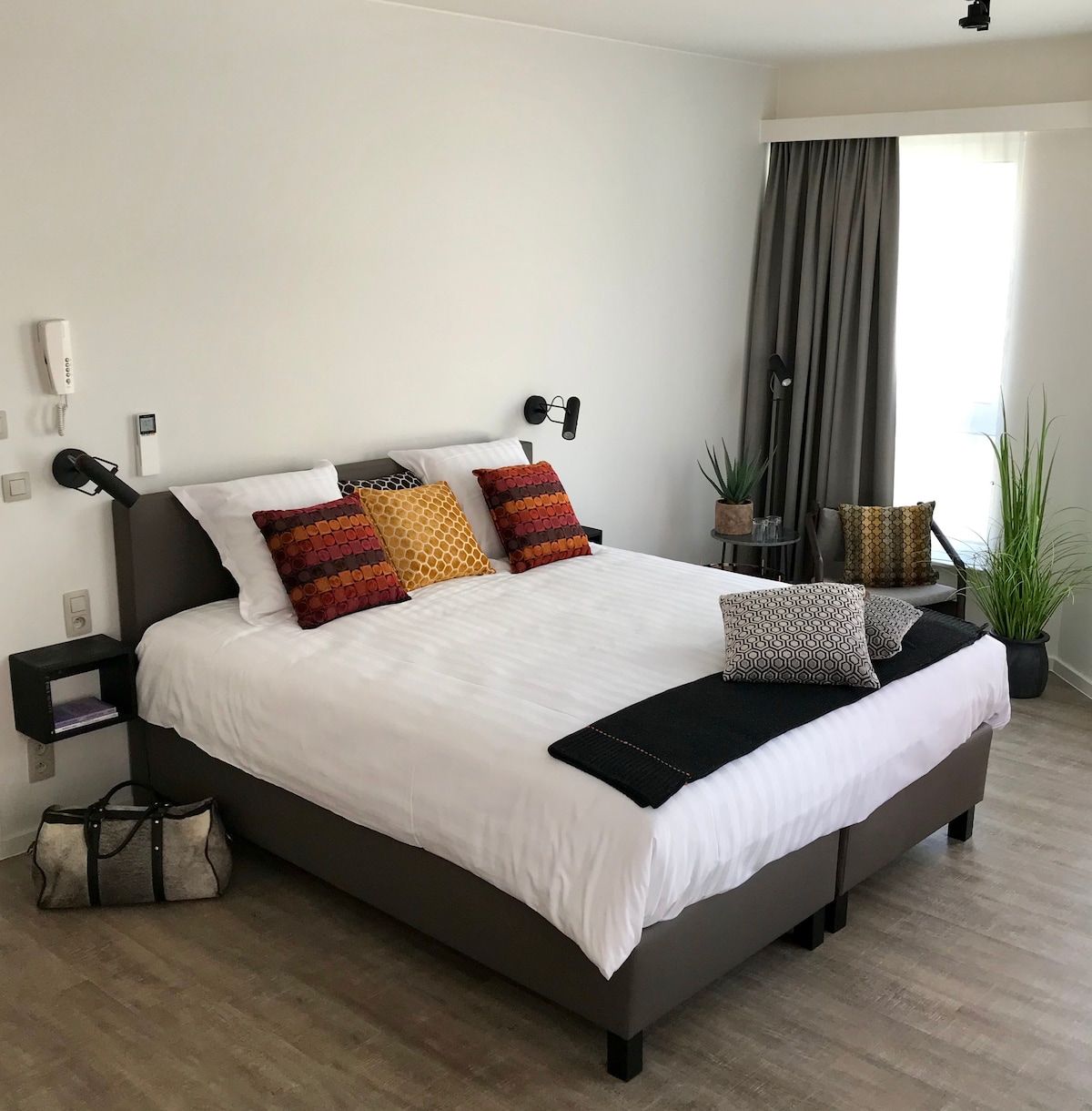 A spacious bedroom features a large bed adorned with decorative pillows in warm colors. Two modern reading lamps are mounted on the wall beside the bed. Potted plants add a touch of greenery, while natural light filters through the sheer curtains.