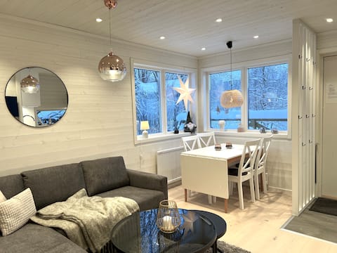 Newly built modern house right by the lift in Duved