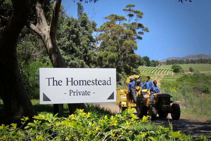 Constantia Winelands Flatlet gallery image 2