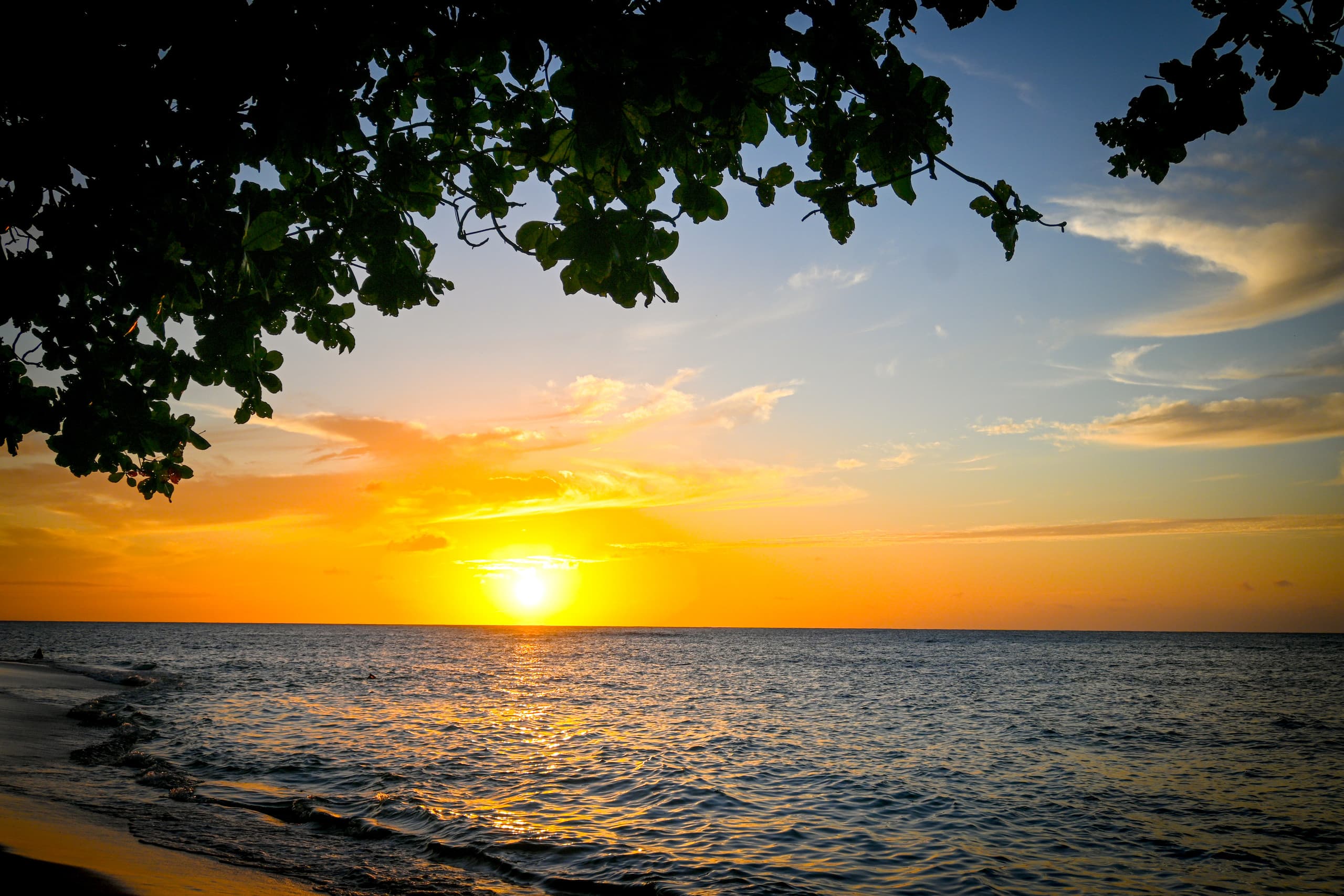 Condo in Princeville · ★4.96 · Studio · 1 bed · 1 bath - Image 26