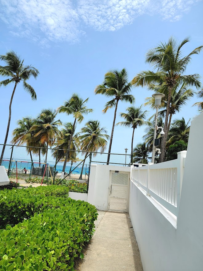A winding pathway surrounded by lush greenery leads towards a beach entrance. Tall palm trees sway gently against a clear blue sky, with the ocean visible beyond a secured area. The white walls frame the scene, enhancing the coastal tranquility.
