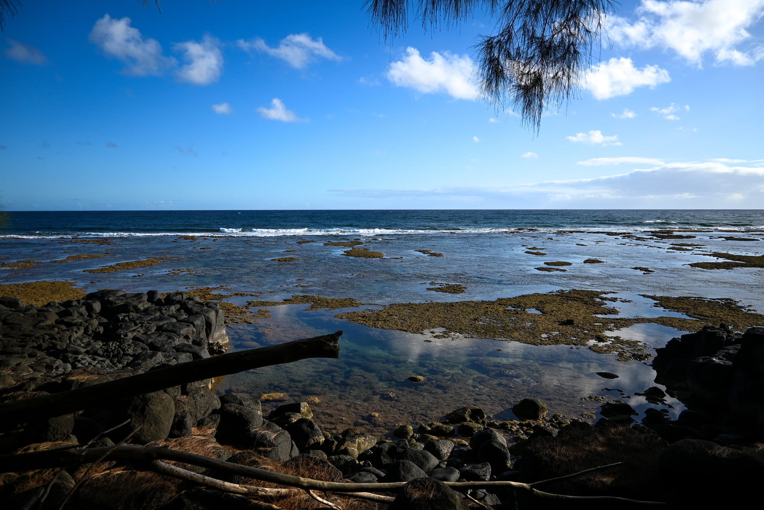 Guesthouse in Princeville · ★5.0 · Studio · 1 bed · 1 bath - Image 31