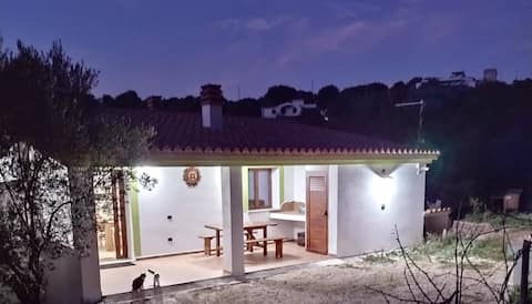 Top performing Airbnb: The house in the vineyard N. CIN IT091017C2000P2038 in Dorgali