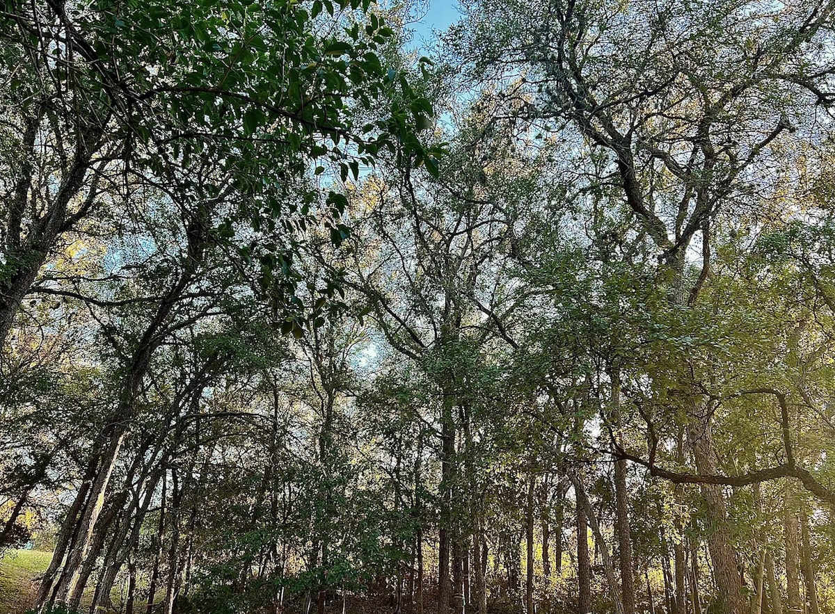 Large Modern 2 Bed/2 Bath -7 min DT in Central ATX