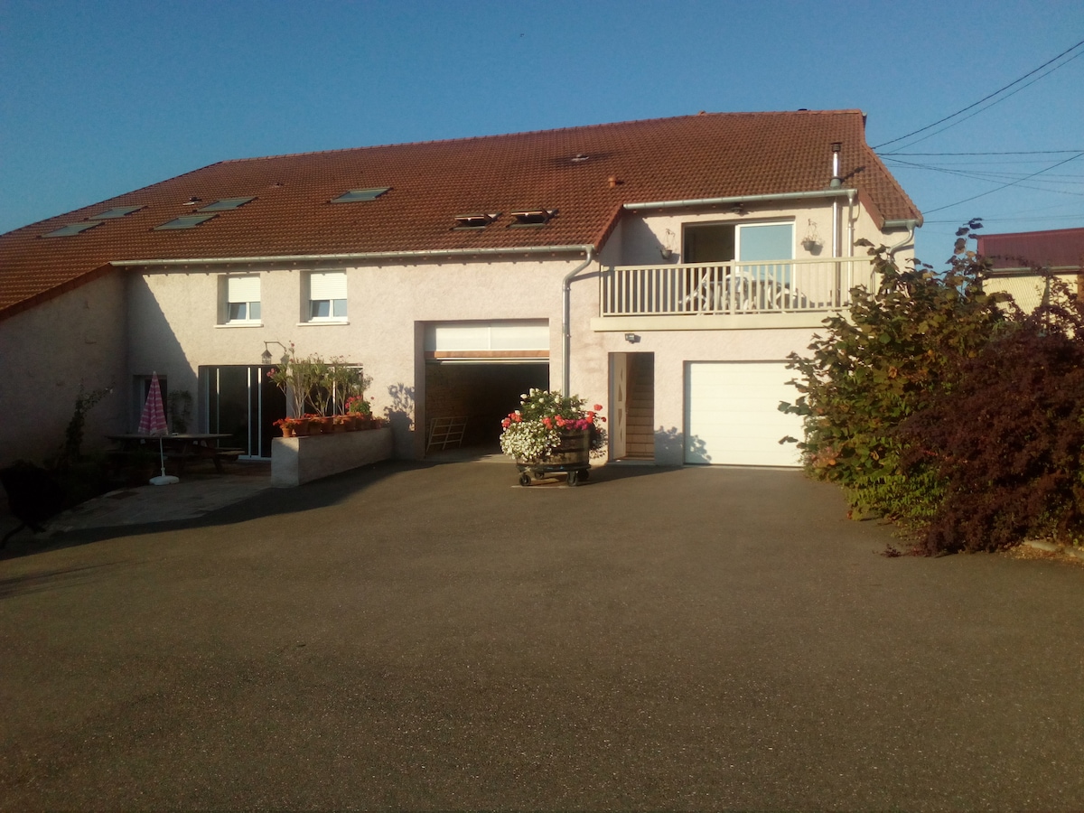 A multi-story building is shown with a sloped roof and several skylights. The entrance features a garage and a balcony adorned with flowers. A spacious driveway is presented, bordered by greenery and potted plants, under a clear blue sky.