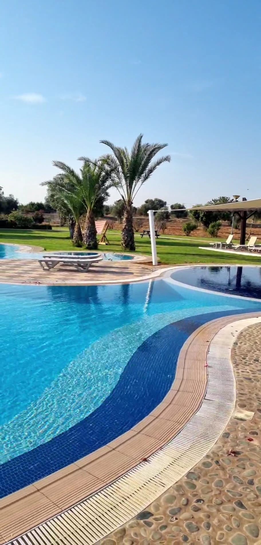 A spacious swimming pool is surrounded by palm trees and well-maintained greenery. Lounge chairs are positioned nearby, inviting relaxation. The pool's design features varying depths and smooth edges, complementing the inviting blue water under a clear sky.