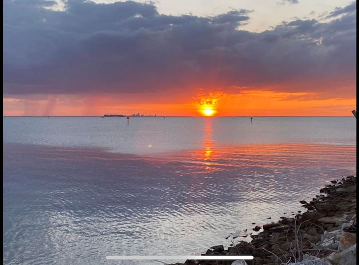 Tropical 2 bedroom condo directly on tampa bay apartments for rent