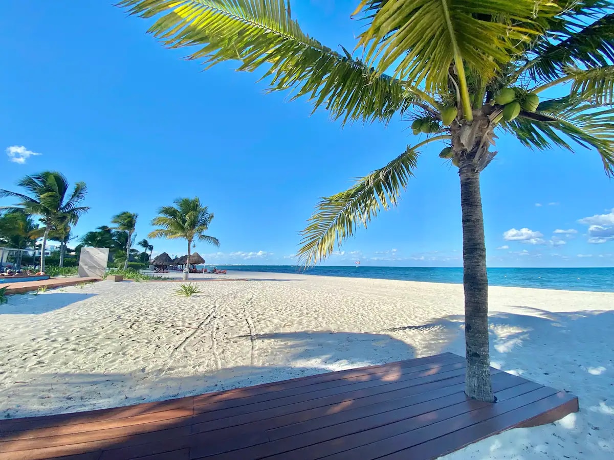 A sandy beach stretches under a clear blue sky, with gentle waves lapping at the shore. Palm trees provide shade, while lounge areas are visible in the background. The vibrant scene reflects a serene coastal environment, inviting relaxation.