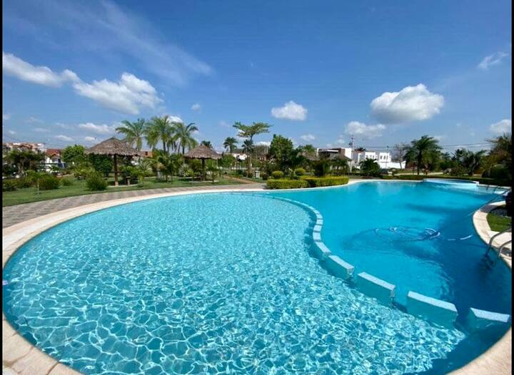 Beautiful room, more room and private bathroom Flats for Rent in