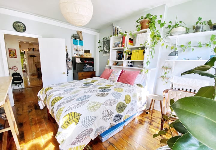 1.5 Bedroom Bohemianstyle Apartment in Brooklyn Flats for Rent in