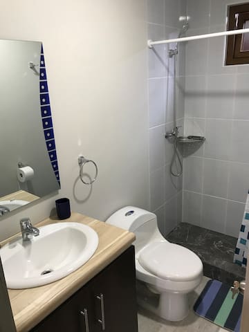 Listing in Valdivia