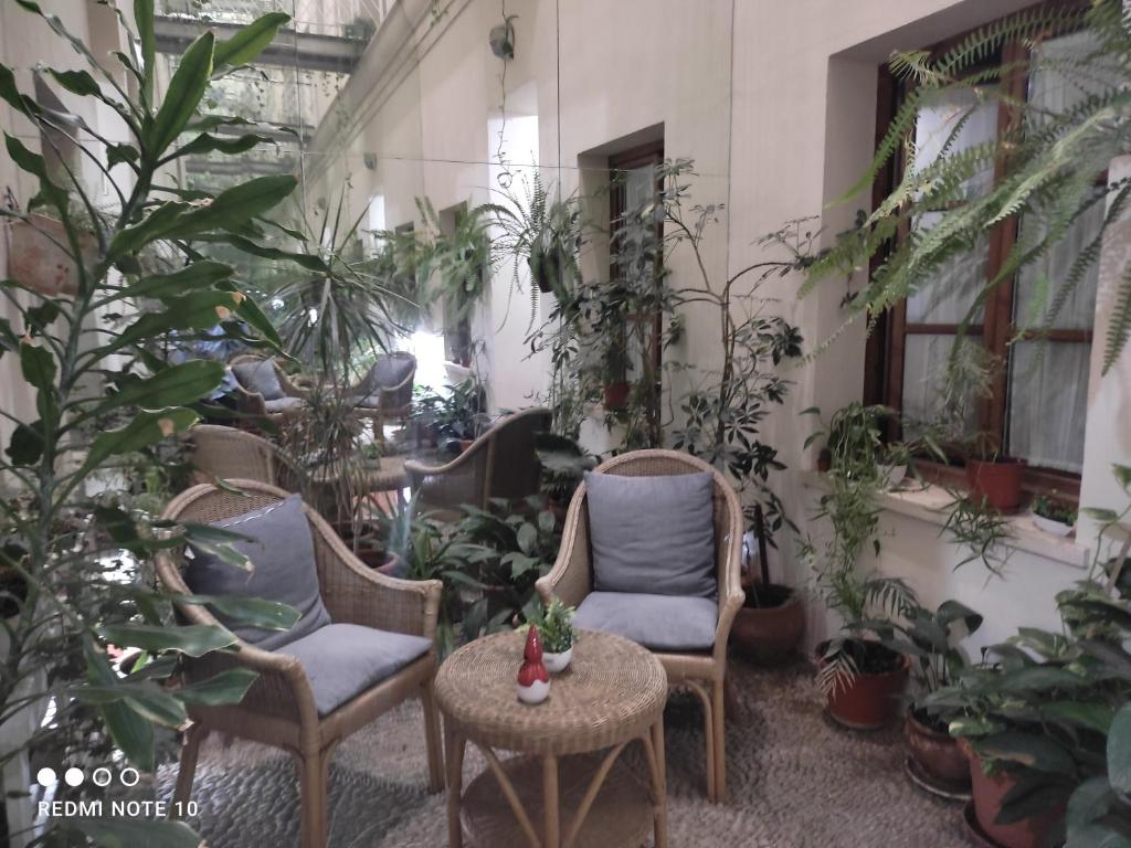 A serene indoor seating area is surrounded by lush greenery, featuring two wicker chairs with soft blue cushions. A round table sits at the center, accompanied by various potted plants that enhance the tranquil environment. Natural light filters through the nearby windows.