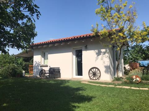Accommodation surrounded by greenery