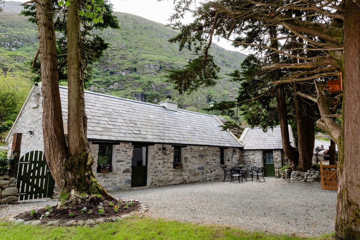 Homestay Traditional Irish Farmhouse, Annascaul, Ireland 