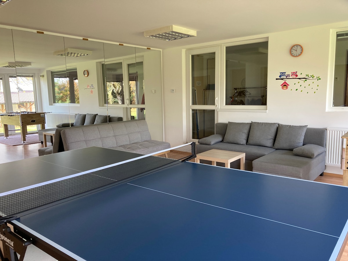 A games room is presented with a blue table tennis table as the focal point. Comfortable gray sofas are arranged around a light wooden coffee table. Large windows offer bright, natural light, and wall decor adds a playful touch to the space.