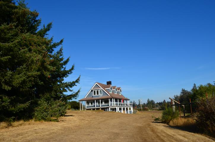 Beautiful beachfront Villa on 80 acres of farmland gallery image 4