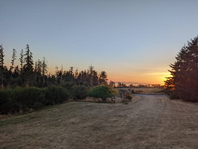 Beautiful beachfront Villa on 80 acres of farmland gallery image 3