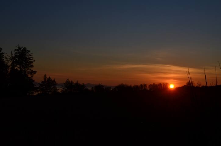 Beautiful beachfront Villa on 80 acres of farmland gallery image 5