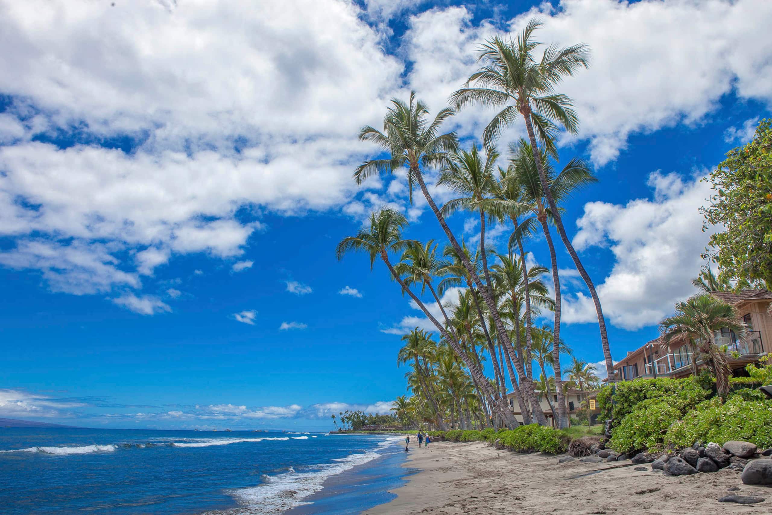 Townhouse in Lahaina · ★5.0 · 4 bedrooms · 3.5 baths - Image 41