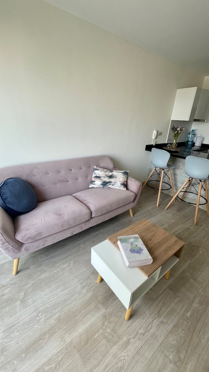 Beautiful 1 BR apartment w pool & coworking area Flats for Rent in