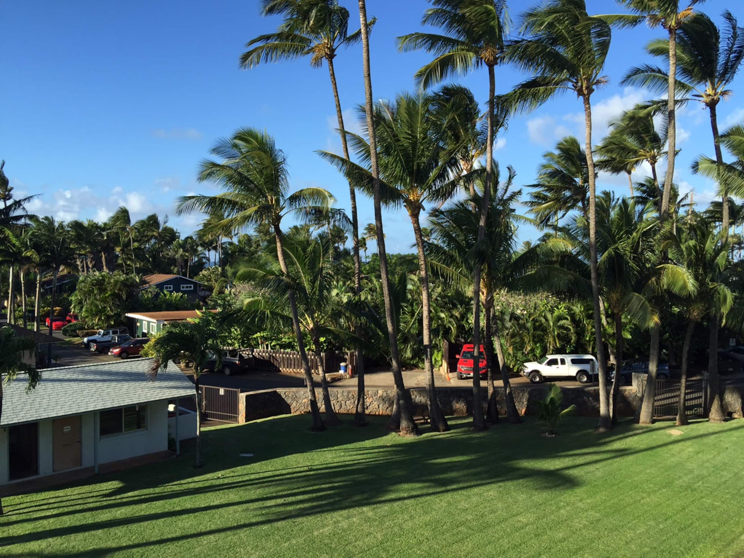 Condo in Paia · ★4.86 · 1 bedroom · 2 beds · 1 private bath - Image 16