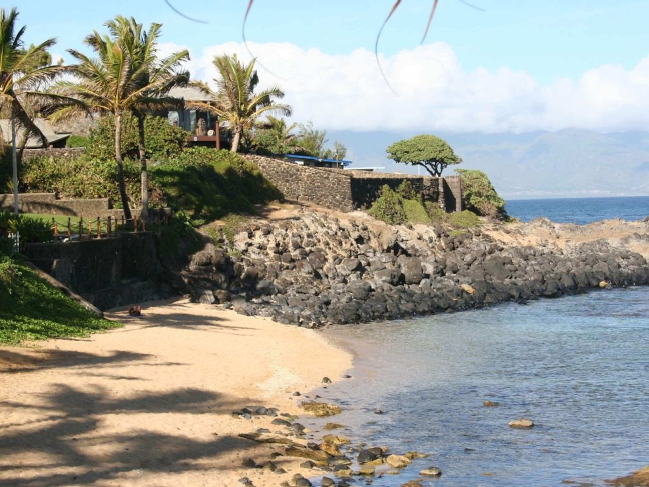 Condo in Paia · ★4.86 · 1 bedroom · 2 beds · 1 private bath - Image 29