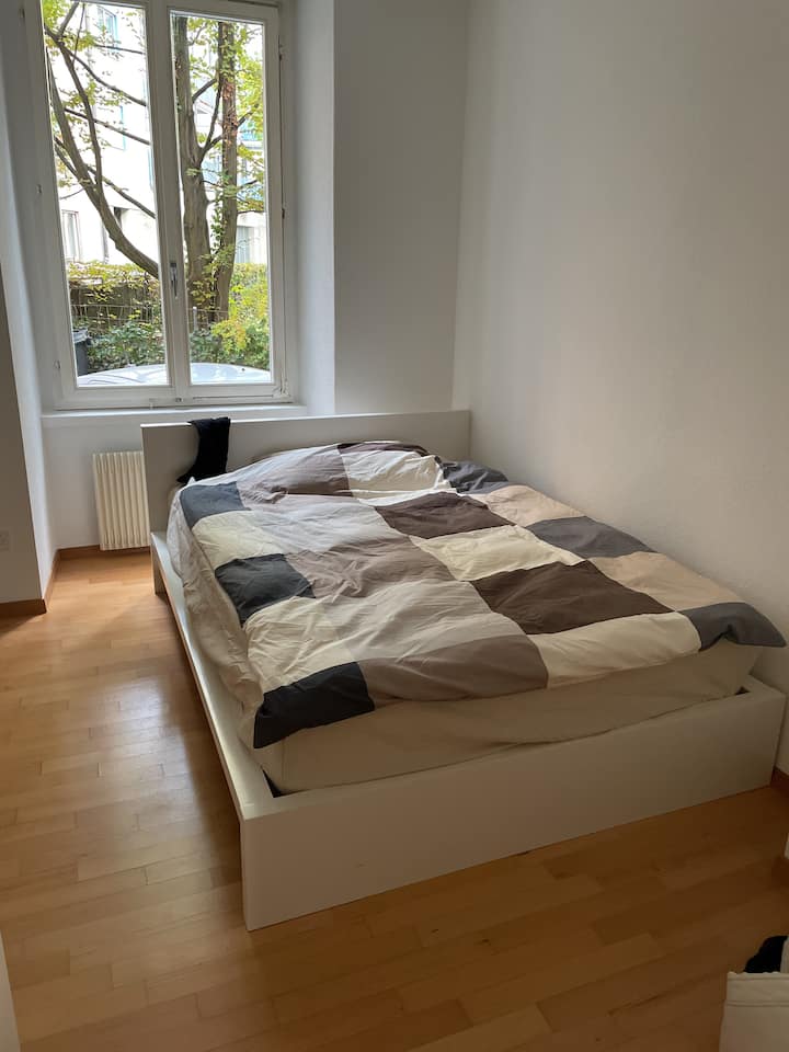 Homey Apartments for Rent in Zürich, Zürich, Switzerland Airbnb