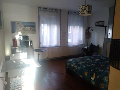 Grande chambre près de Lille et d'Euratechnologie