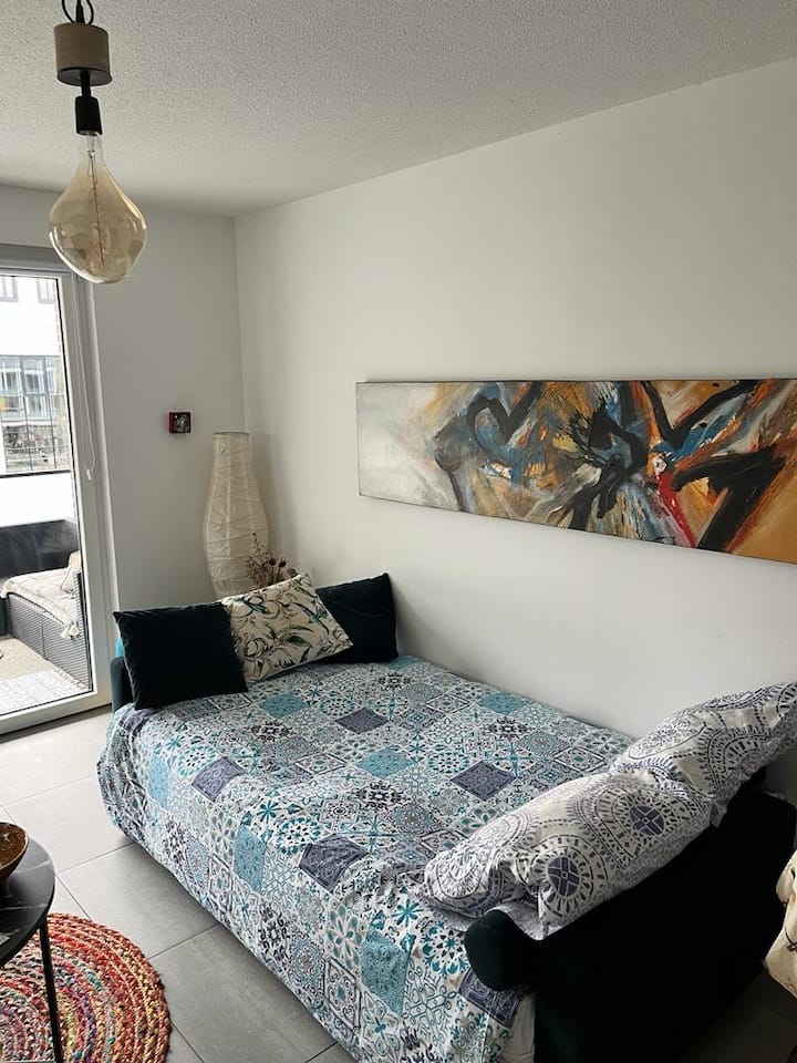 Charmant Appartement Proche Centre Avec Terrasse - Schiltigheim