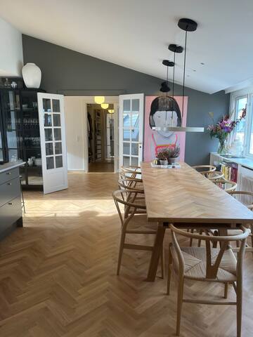 Large luxury flat in the city (215 m2, 5 bedrooms)