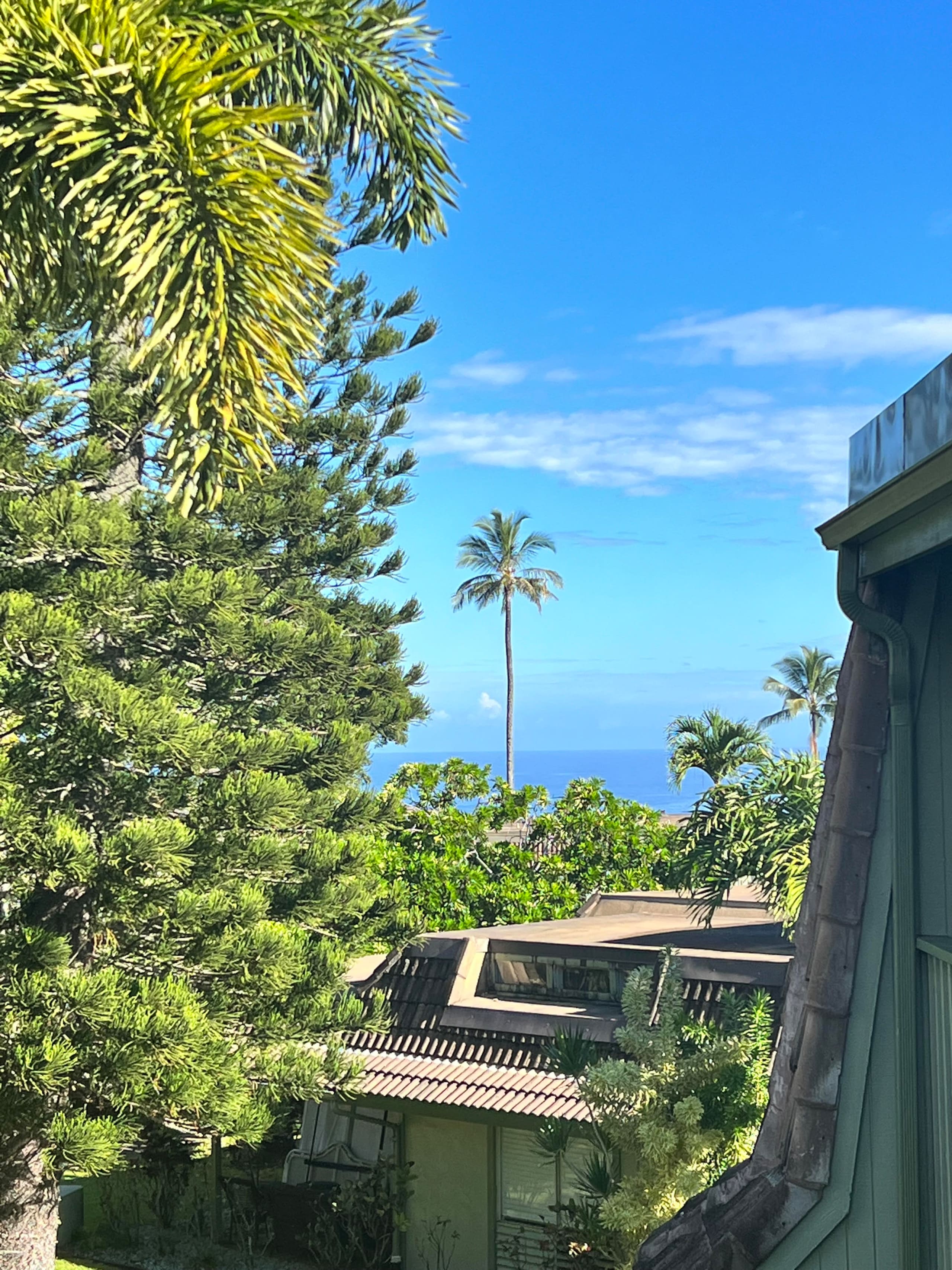 Townhouse in Princeville · ★4.95 · 2 bedrooms · 3 beds · 2 private baths - Image 13