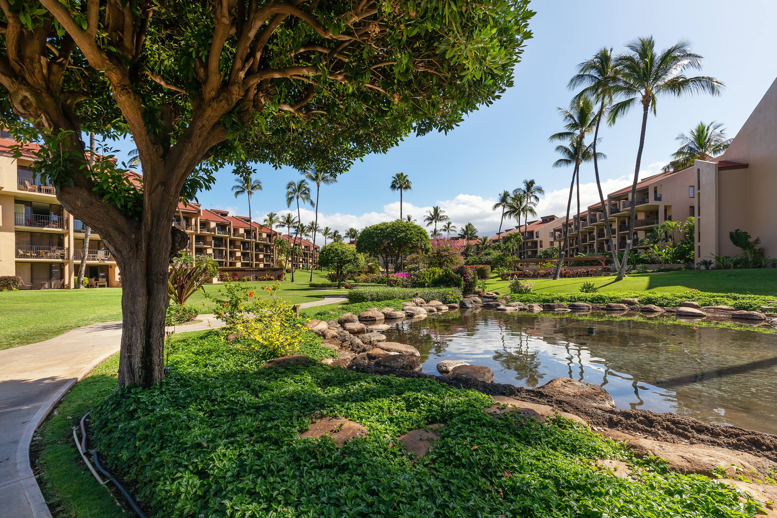Condo in Kihei · ★4.82 · 2 bedrooms · 4 beds · 2 baths - Image 23