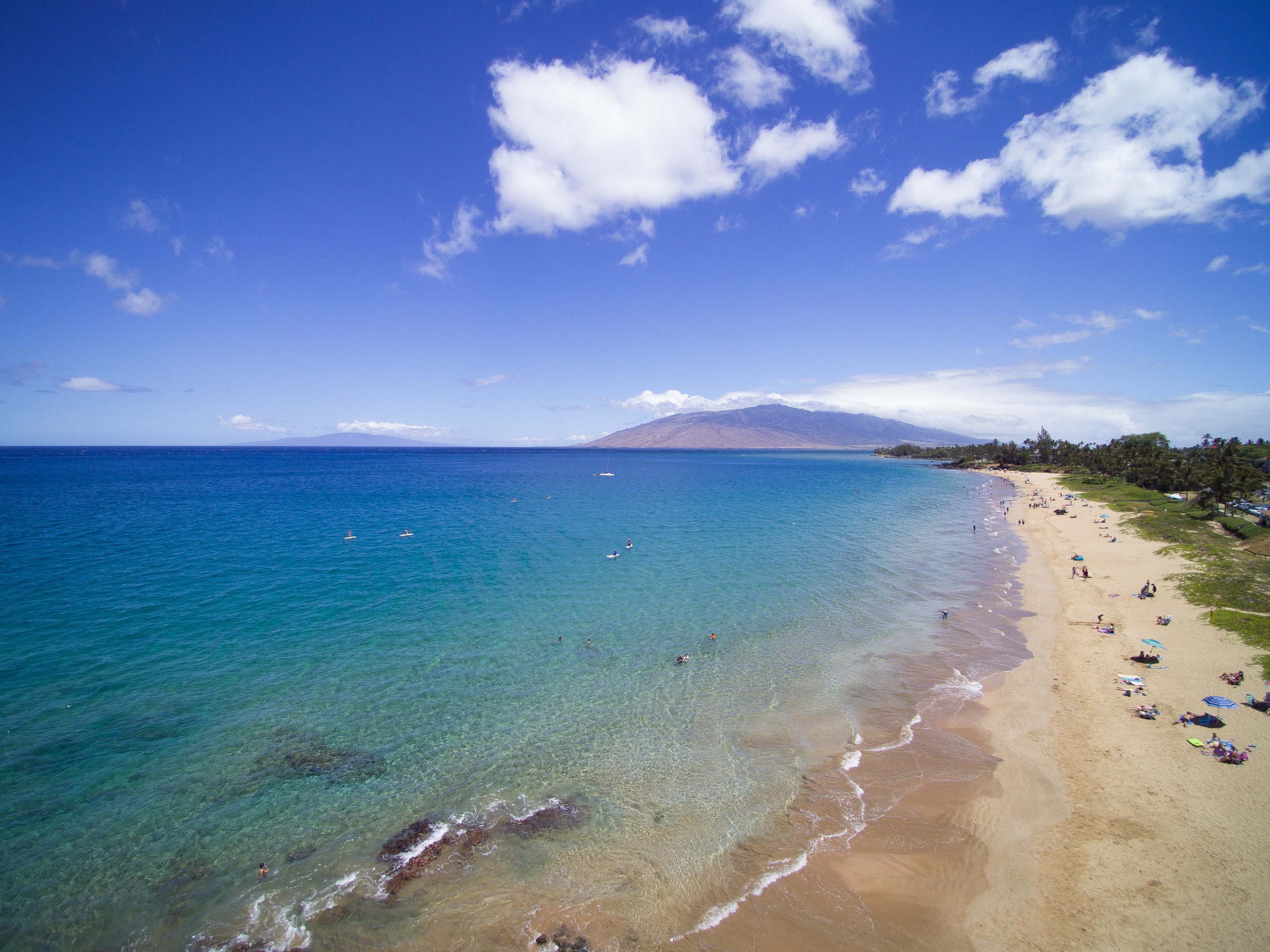 Condo in Kihei · ★4.82 · 2 bedrooms · 4 beds · 2 baths - Image 24