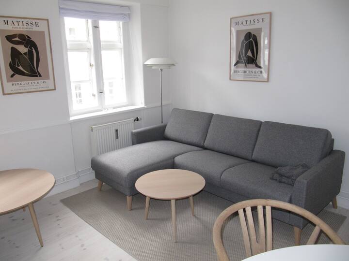 Charming apartment in the center of Copenhagen Condominiums for Rent