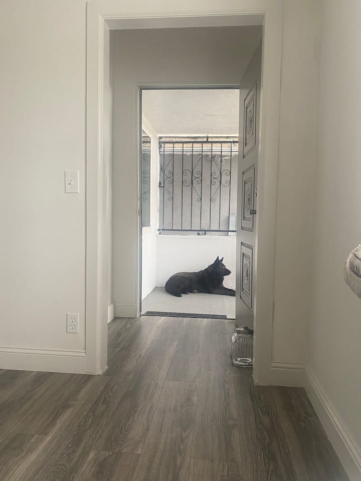 Verandë e përparme 