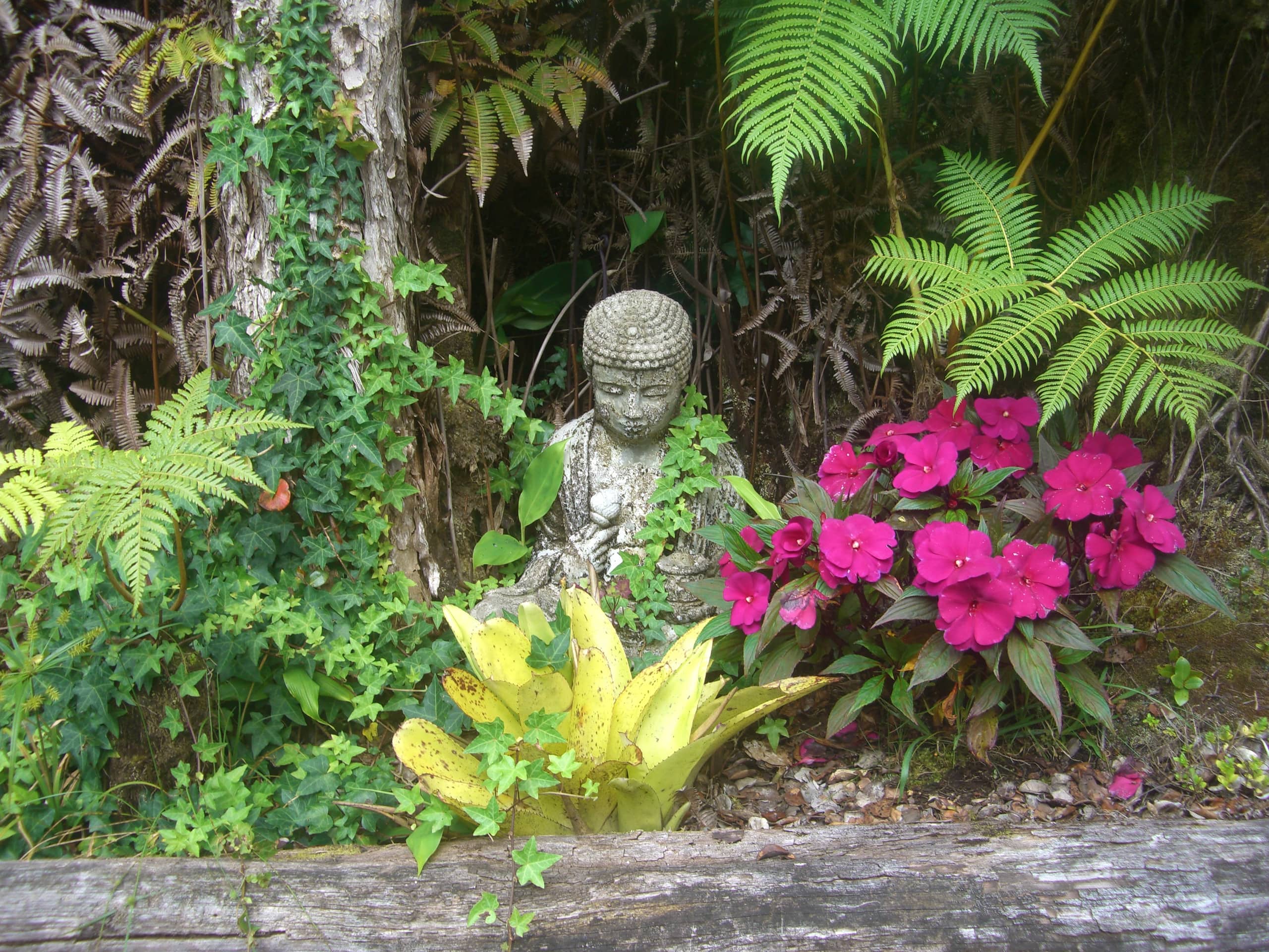 Home in Hawaii · ★4.98 · 1 bedroom · 1 bed · 1.5 private baths - Photo 23