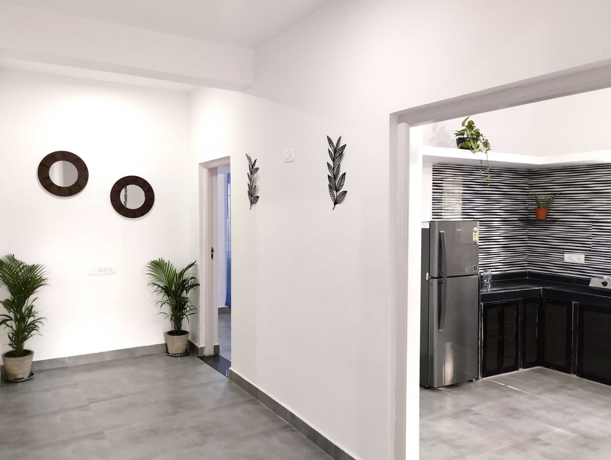 The interior space showcases a modern layout with sleek tile flooring. Two round mirrors are mounted on a white wall, complementing the decorative wall plants. A doorway leads to a fully equipped kitchen featuring dark cabinetry and stainless steel appliances, enhancing the overall design.