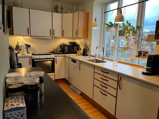 Large penthouse near center of CPH gallery image 4