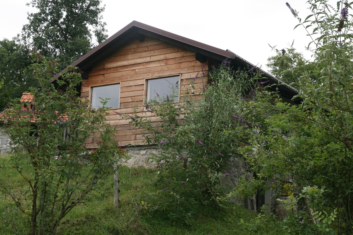 A cozy wooden cottage is nestled among greenery, with stone accents and large windows allowing natural light to enter. Surrounding plants and shrubs enhance the natural setting, contributing to a serene atmosphere and a connection to the rural landscape.